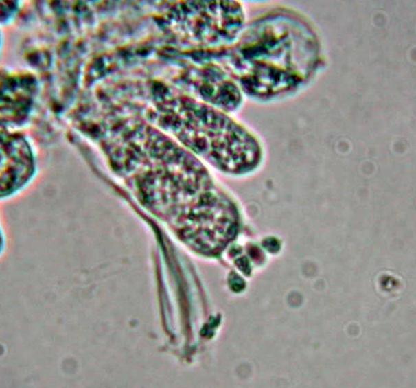 Quiz.z.z.z.z.z......